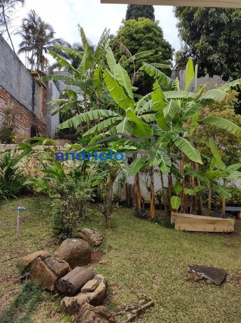 Localizada na Rua Vicente Leporace, esta ampla residência de 578m² oferece conforto e espaço ao ar livre repleto de verde. O imóvel conta com 5 dormitórios, sendo 2 suítes, além de 2 banheiros adicionais. Possui 3 salas espaçosas, uma sala de jantar e um escritório. A casa inclui uma área de serviço, armários embutidos e de cozinha, closet, despensa e uma entrada de serviço independente. Há também um dormitório de empregada e uma edícula.

No exterior, você encontrará um belo jardim e 4 vagas de garagem cobertas. O imóvel é equipado com ar condicionado e lavabo. Aceita financiamento e FGTS. Para mais informações e agendamento de visita, entre em contato conosco!