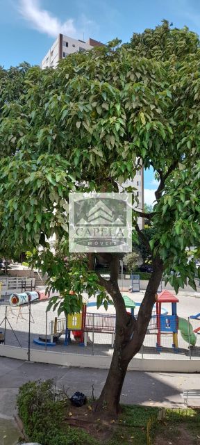 13ba421d-ebd8-4ccf-9e91-1984b19d48a5-CAPELA APARTAMENTO Jardim Peri 47839 Ótimo apartamento de 2 dormitórios a venda na pedra branca