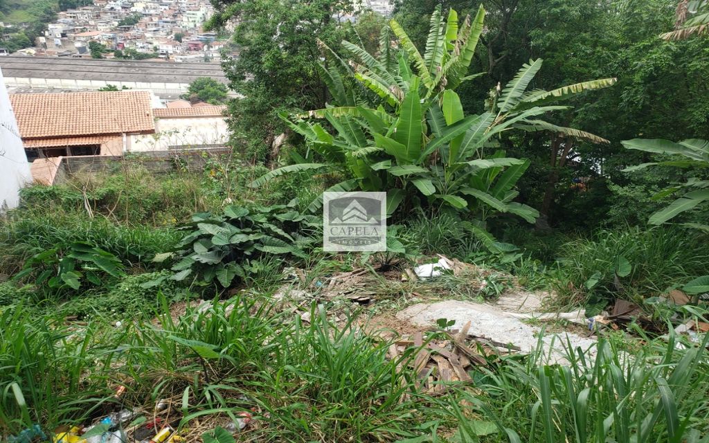 150a2cdf-15a2-4dfc-bd28-676a1d5d2302-CAPELA TERRENO Tucuruvi 31411 TERRENO VENDA Tucuruvi, 318 m² 