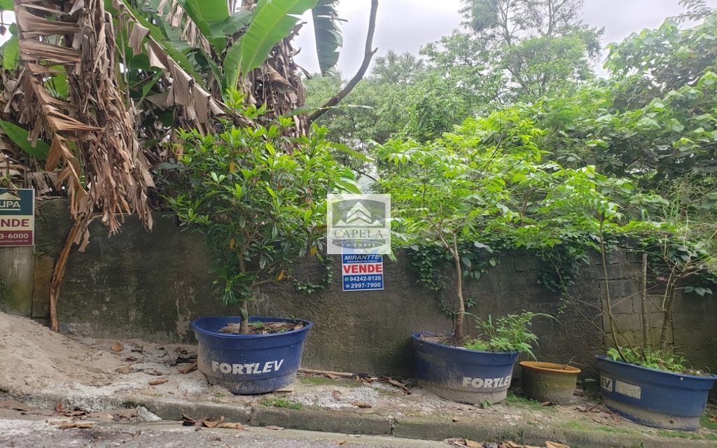 15c72bfd-1f0d-4bdb-af28-5c5d488402be-CAPELA TERRENO Tucuruvi 31413 TERRENO VENDA Tucuruvi, 318 m² 