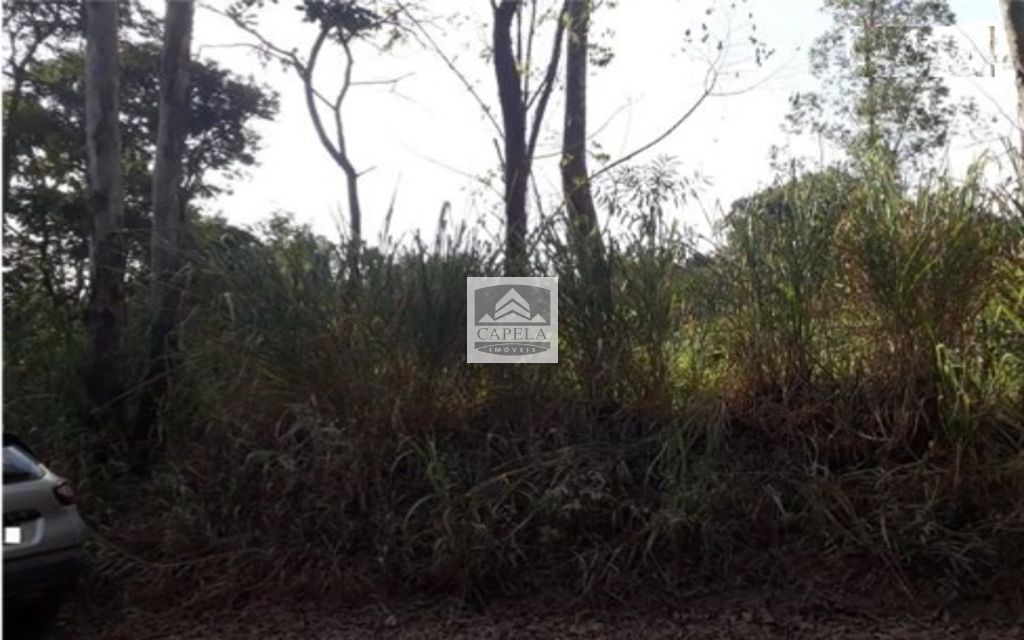191c933a-31dc-431c-8f5e-45cbdf0c6a7d-CAPELA TERRENO Mairipora 27070 TERRENO VENDA Mairiporã, 500 m²