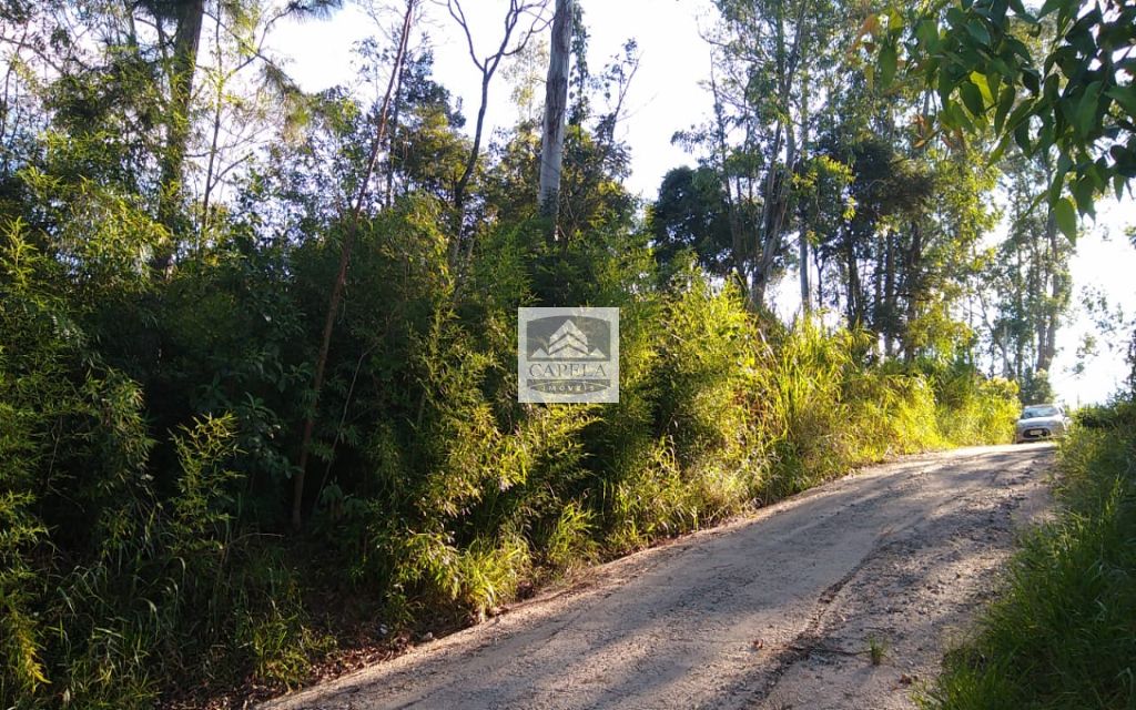 195944d3-ab5d-40c6-aca3-aebe2a597426-CAPELA TERRENO Mairipora 27058 TERRENO VENDA Mairiporã, 500 m²