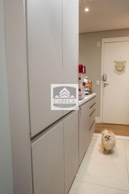 1a79e385-1bd8-4dde-a83b-4dfe9c8e567a-CAPELA APARTAMENTO Jardim Modelo 34244 APARTAMENTO VENDA Jaçanã,  67m², 2 dorm., 1 vaga 
