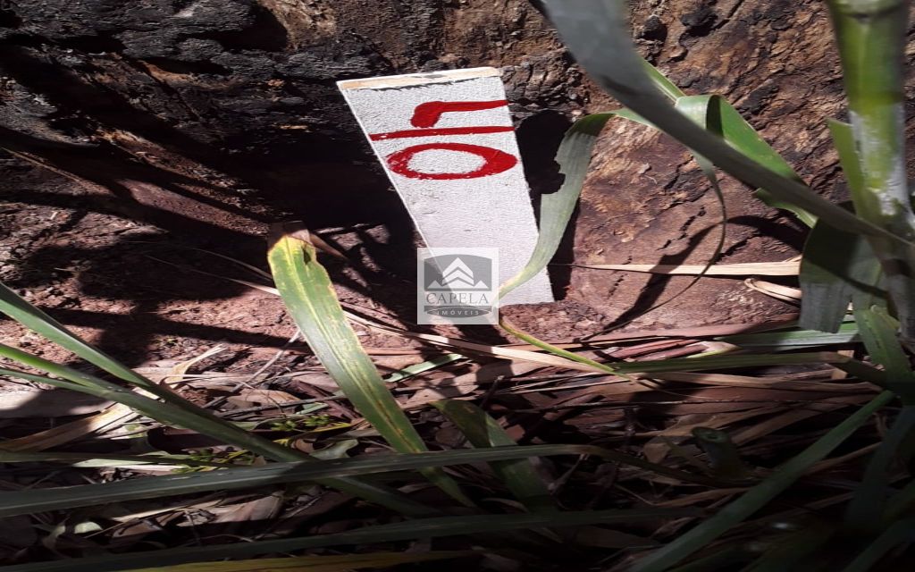 1d5ebf45-0084-4221-b60b-0d9081c87b95-CAPELA TERRENO Mairipora 27065 TERRENO VENDA Mairiporã, 500 m²