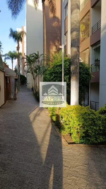 1e3d8018-1b71-4568-80ce-9c517e644c62-CAPELA APARTAMENTO VILA AMELIA 44370 APARTAMENTO VENDA VILA AMÉLIA,  50m², 2 dorm. 