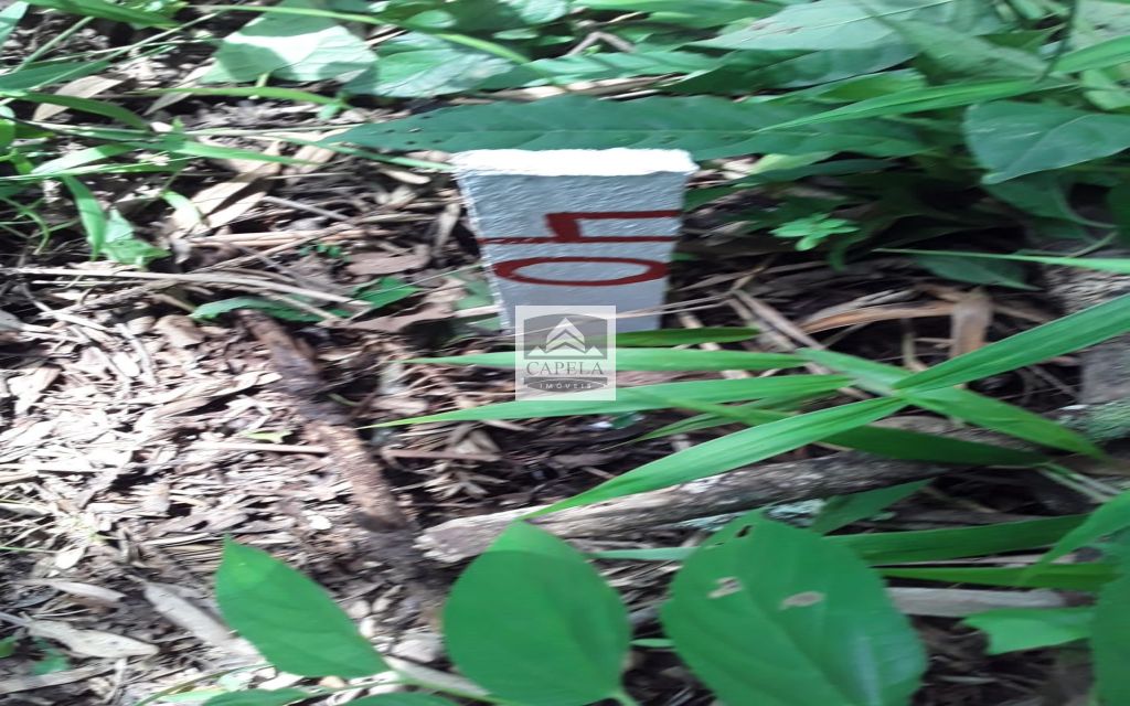 25c727b2-bfb3-49ba-ab77-dee21ed0e820-CAPELA TERRENO Mairipora 27057 TERRENO VENDA Mairiporã, 500 m²