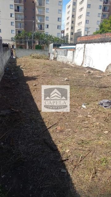 28c5d244-99ed-4038-b00e-19187063b289-CAPELA TERRENO Vila Mazzei 40262 TERRENO VENDA Vila Mazzei com 440 m² 
