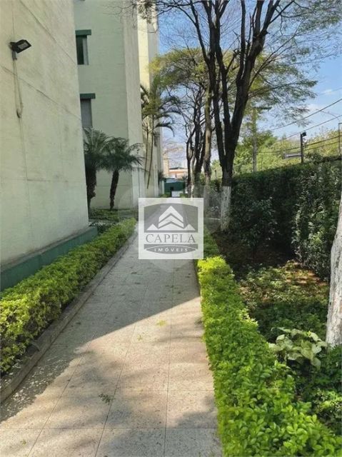 2b4f5e62-be05-492e-a9ee-0288b549ce56-CAPELA APARTAMENTO Imirim 41871 APARTAMENTO VENDA IMIRIM,  50m², 2 DORM., 1 VAGA 