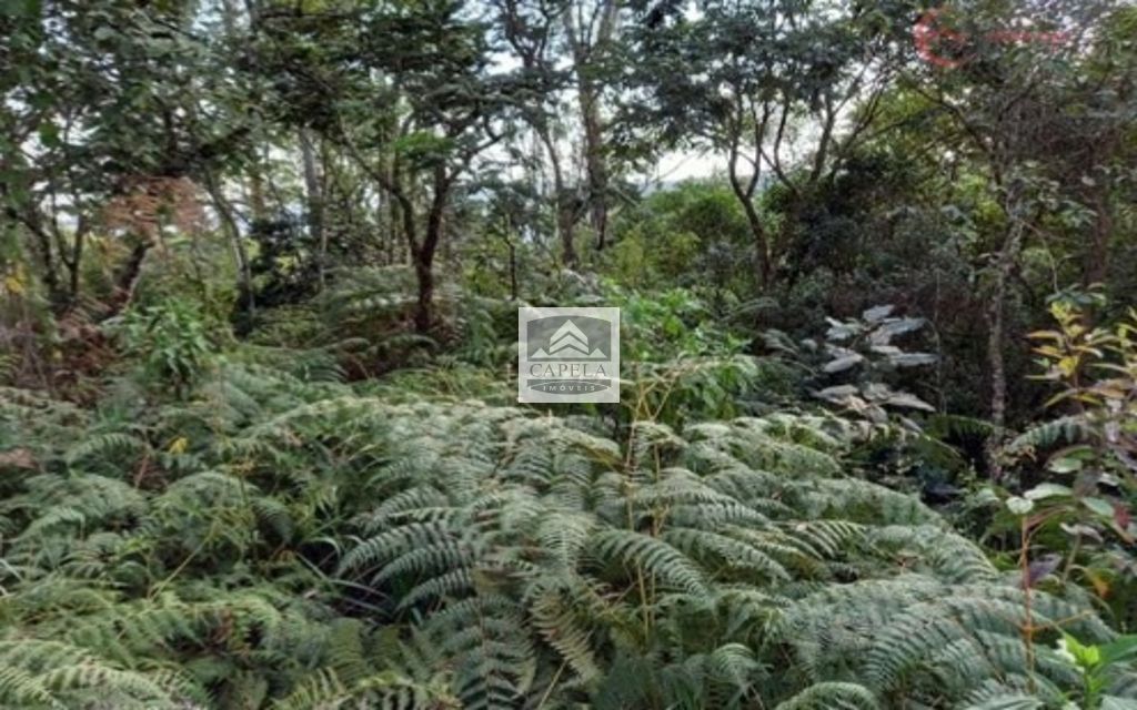 3636030f-cb1f-47a7-8ab4-9bbd57be5318-CAPELA TERRENO Mairipora 27073 TERRENO VENDA Mairiporã, 500 m²