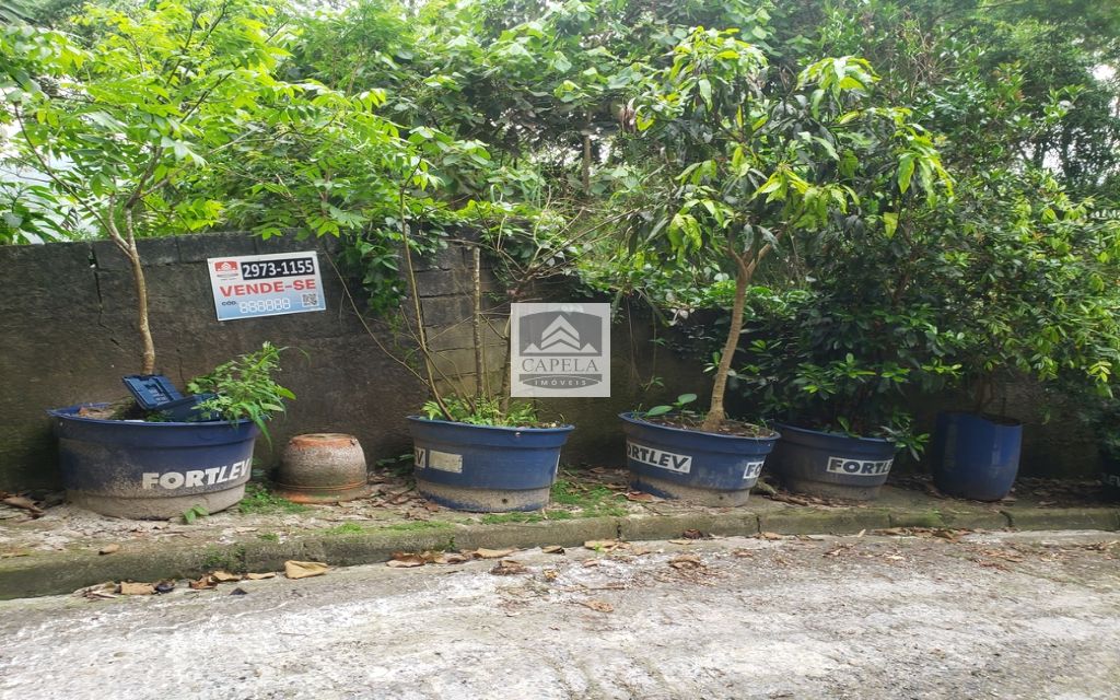 37d875e6-3b1f-4720-a04b-f18914f207b8-CAPELA TERRENO Tucuruvi 31423 TERRENO VENDA Tucuruvi, 318 m² 
