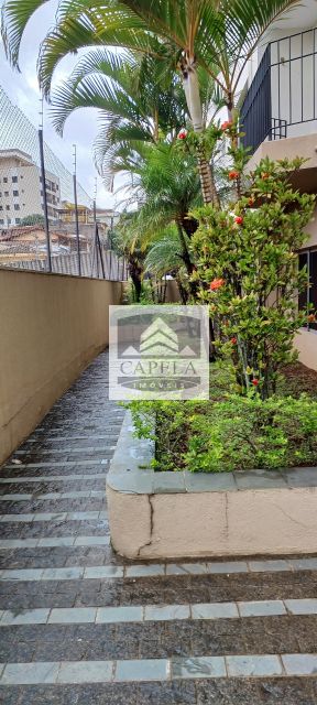 3a2218d9-5bf1-4caa-9ae9-7f57e09132d1-CAPELA APARTAMENTO Lauzane Paulista 48530 Ótimo apartamento para locação de 2 dormitórios, mais dependencia de empregada