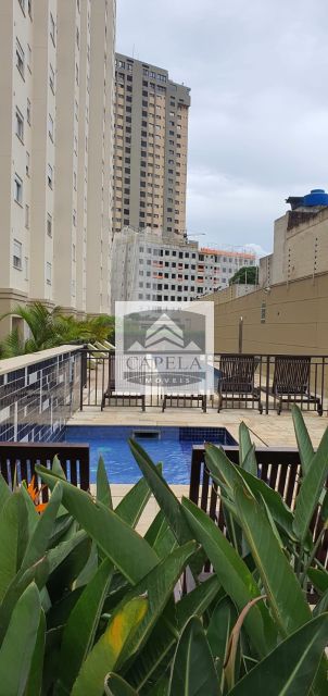 3e32d3ec-a89e-40db-ad6e-f8b06df90264-CAPELA APARTAMENTO SANTA TERESINHA 52981 APTO. LOCAÇÃO SANTA TEREZINHA,  48m², 2 dorm, 1 vaga