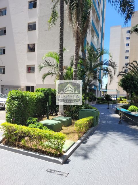 4509670d-cfc8-49ee-8d24-86dddf77f17b-CAPELA APARTAMENTO Vila Guilherme 34739 APARTAMENTO VENDA VILA GUILHERME,  54m², 2 dorm