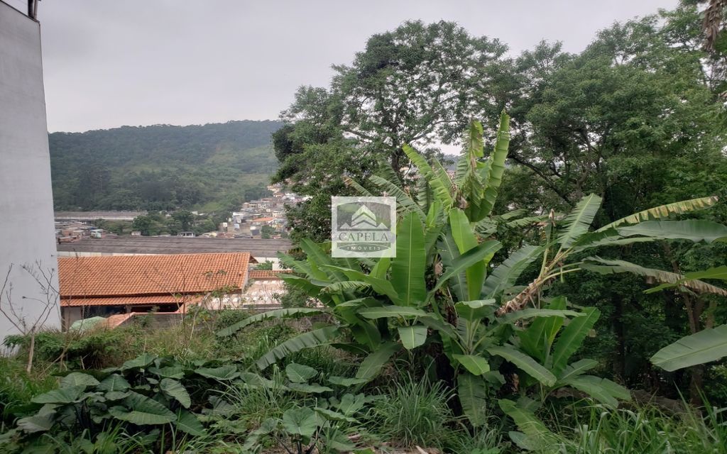 48aeecfd-58c0-41e5-bb4b-1113176fe3f3-CAPELA TERRENO Tucuruvi 31427 TERRENO VENDA Tucuruvi, 318 m² 