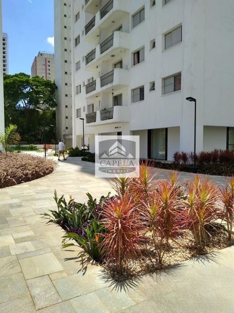 57dc87c7-3487-444c-8418-7e0d0e3f5f4f-CAPELA APARTAMENTO Santana 43918 APARTAMENTO VENDA Santana,  91m², 3 dorm., 2 vagas 