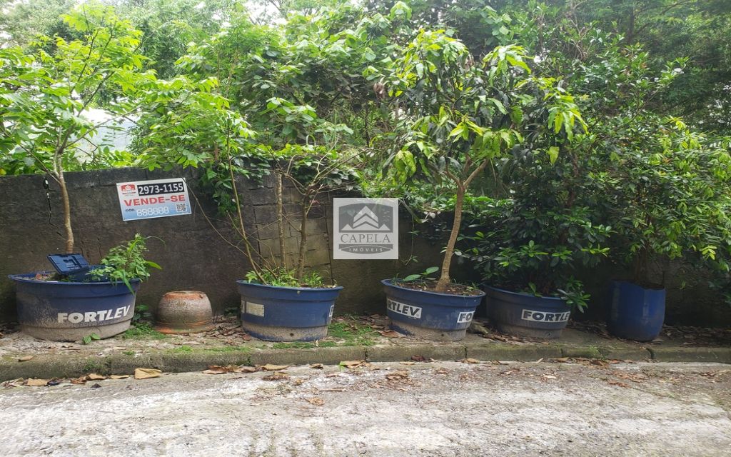 59445550-bc5a-4d54-a173-f535313bda6f-CAPELA TERRENO Tucuruvi 31418 TERRENO VENDA Tucuruvi, 318 m² 