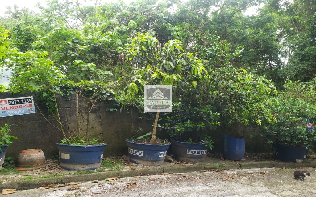 5ce1e043-c56b-49bc-a765-7bf44e292f3e-CAPELA TERRENO Tucuruvi 31419 TERRENO VENDA Tucuruvi, 318 m² 