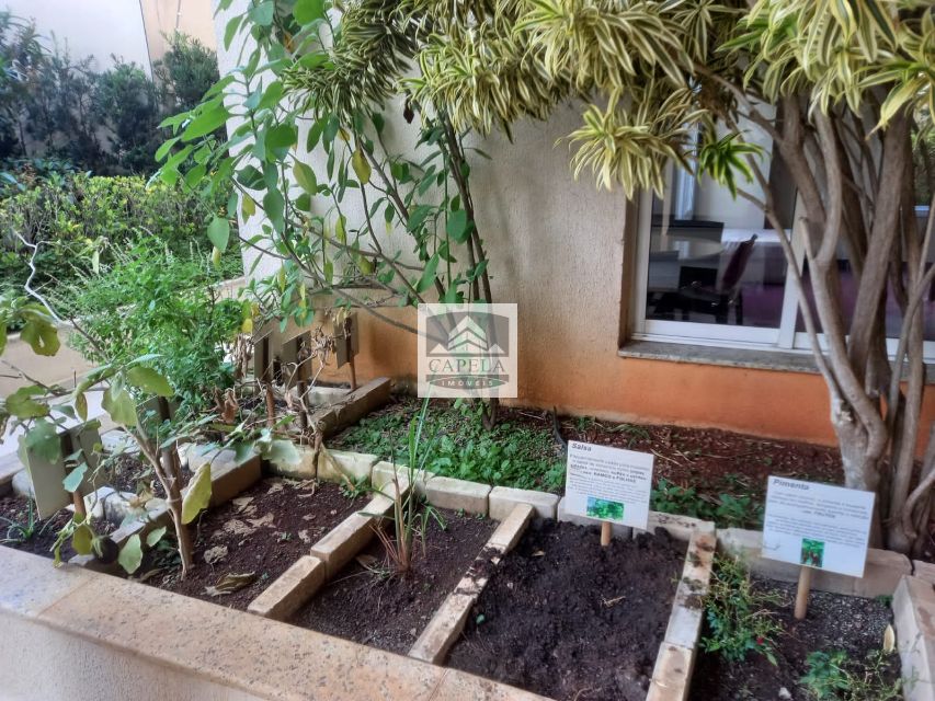 627f58dd-32de-45f0-889c-bbfc6ccdc58f-CAPELA APARTAMENTO Lauzane Paulista 34817 APARTAMENTO VENDA Lauzane Paulista,  85m², 3 dorm. 