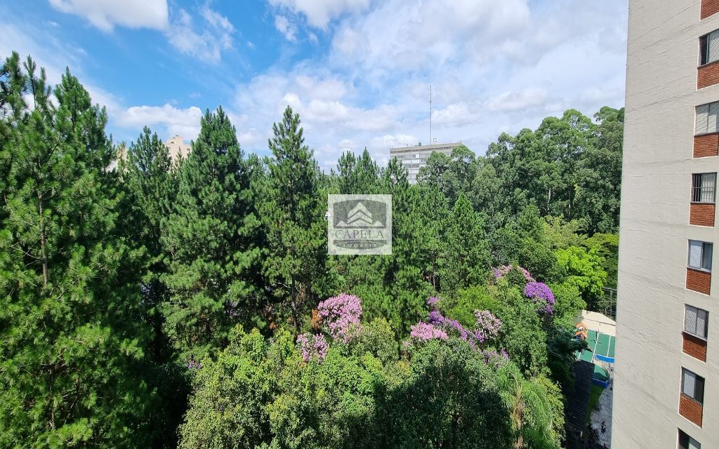 64e139dc-4f00-473f-899b-fef60303ee9b-CAPELA APARTAMENTO Barro Branco Zona Norte 14722 Apto a venda no Barro Branco, 3 dorms, 