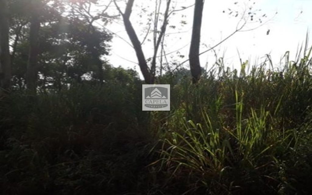 700edcc9-6f51-44b2-acc1-ef9882ba9f5a-CAPELA TERRENO Mairipora 27069 TERRENO VENDA Mairiporã, 500 m²