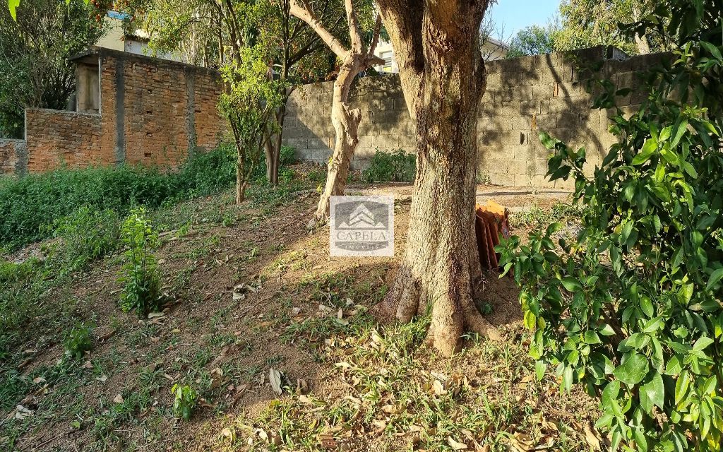 7508a02d-35a4-4f31-b24c-6fc7bc3afe11-CAPELA TERRENO Vila Irmaos Arnoni 2149 TERRENO VENDA - Vila Irmãos Arnoni, 700m²