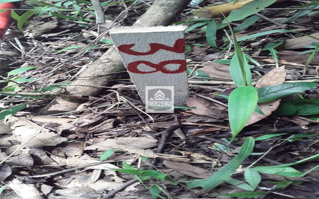 7c55636d-9215-436d-93ea-9ddb7ee397d6-CAPELA TERRENO Mairipora 27059 TERRENO VENDA Mairiporã, 500 m²