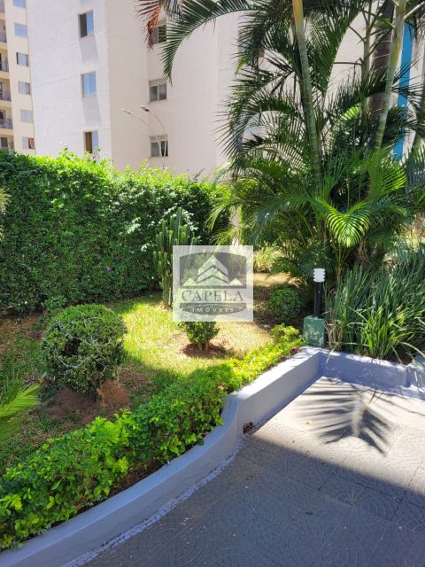803a591f-63d4-4332-b0e4-48762bc1f839-CAPELA APARTAMENTO Vila Guilherme 34752 APARTAMENTO VENDA VILA GUILHERME,  54m², 2 dorm