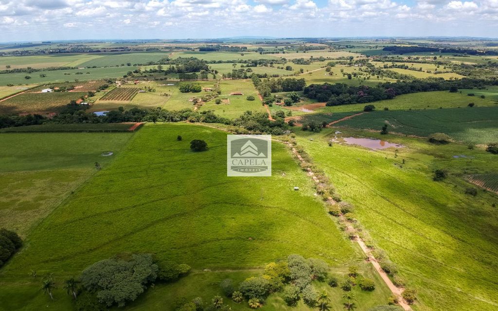 FAZENDA VENDA rural,  