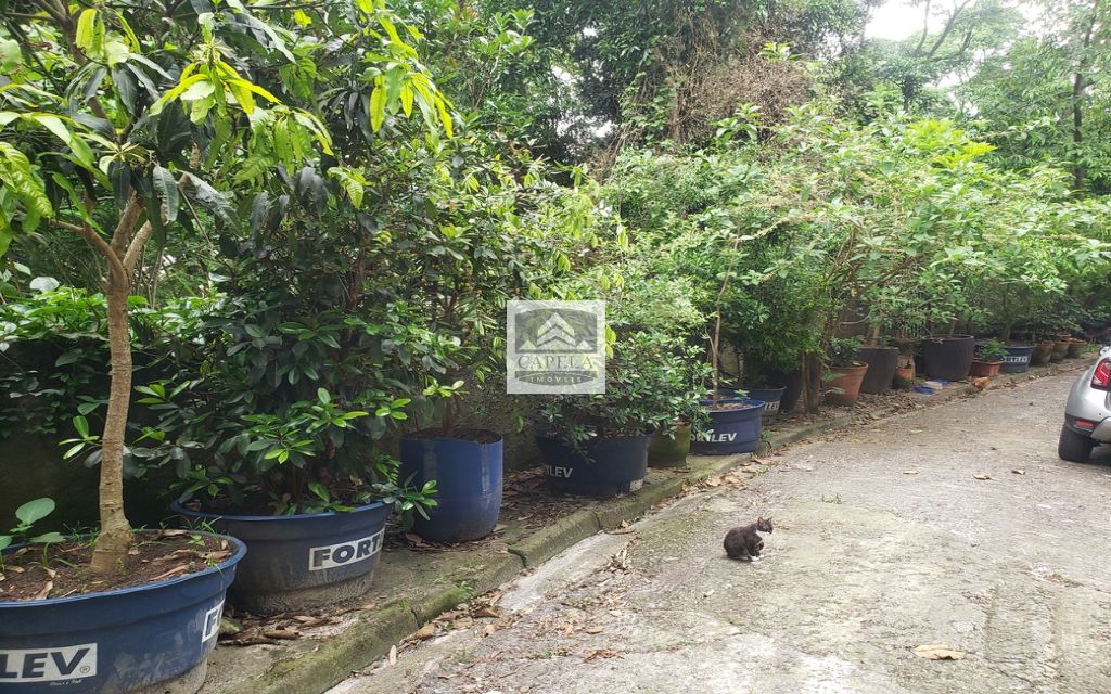 8913da97-ad42-4a48-a159-87e22cae556e-CAPELA TERRENO Tucuruvi 31420 TERRENO VENDA Tucuruvi, 318 m² 