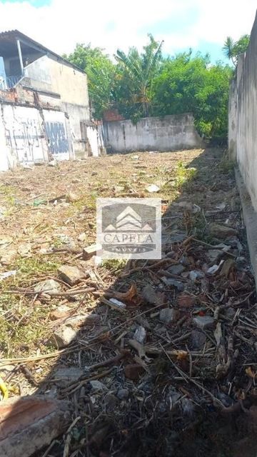 96095cbc-b3f5-4087-8c1b-c868869c2b37-CAPELA TERRENO Vila Mazzei 40261 TERRENO VENDA Vila Mazzei com 440 m² 