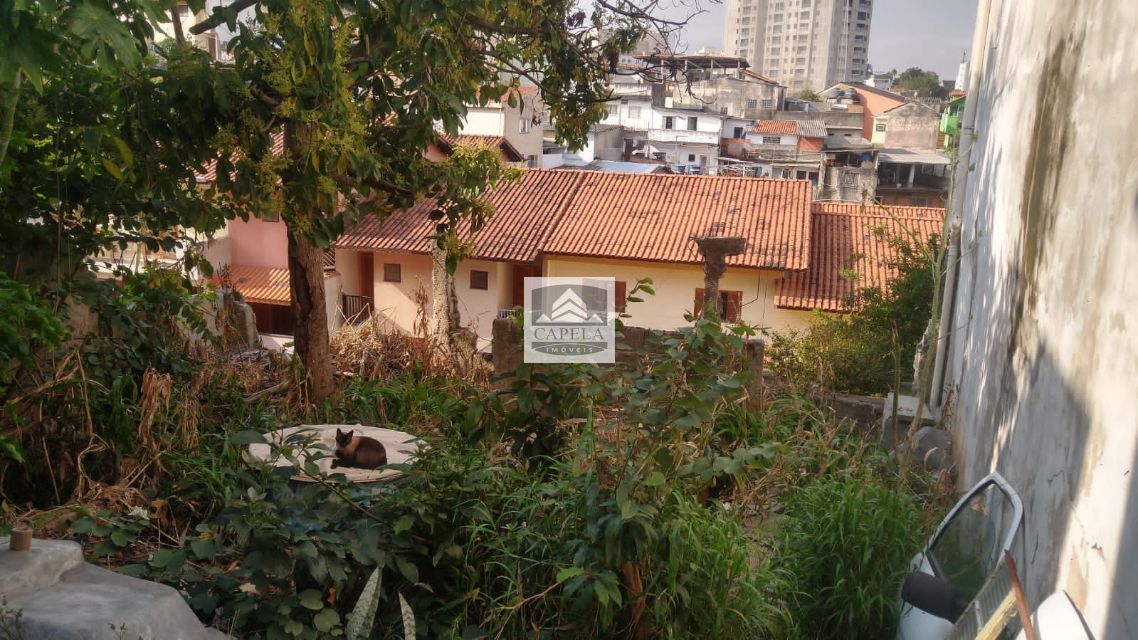 97198301-f56e-4afd-b76a-8c9509fabbcb-CAPELA TERRENO MANDAQUI 37895 TERRENO VENDA MANDAQUI,  223m² 