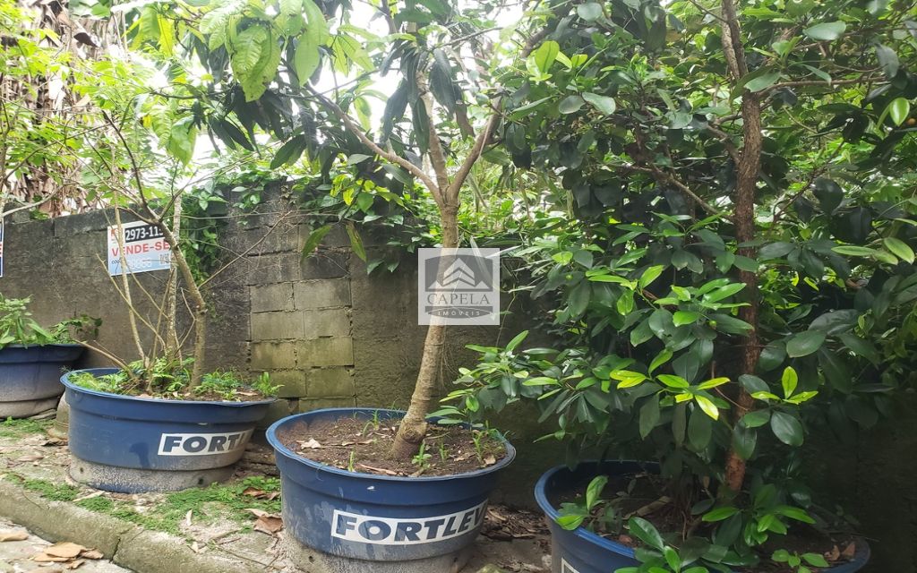 a54b83f5-0fcd-415c-9831-bfadf485d750-CAPELA TERRENO Tucuruvi 31421 TERRENO VENDA Tucuruvi, 318 m² 