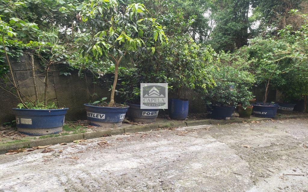 ac00a0de-014f-4e3a-9f8b-b6f14183e631-CAPELA TERRENO Tucuruvi 31424 TERRENO VENDA Tucuruvi, 318 m² 