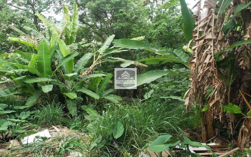 b4fe02e1-2ae2-40c5-8397-0c4cf60065a6-CAPELA TERRENO Tucuruvi 31425 TERRENO VENDA Tucuruvi, 318 m² 
