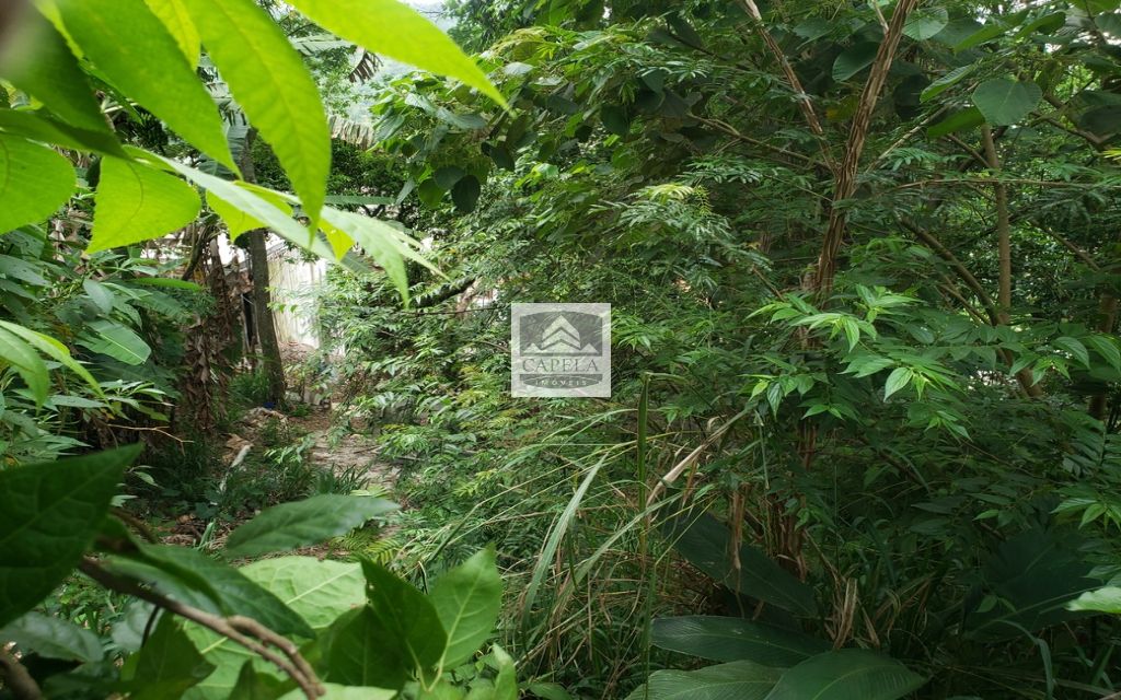 b6b7124a-4329-4642-ba00-3a0f078bee03-CAPELA TERRENO Tucuruvi 31417 TERRENO VENDA Tucuruvi, 318 m² 