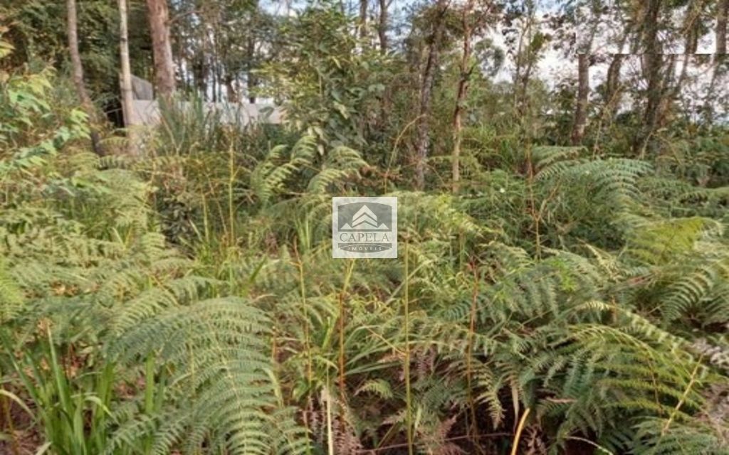 bf83accf-ae5d-49f6-865d-3a215c480706-CAPELA TERRENO Mairipora 27072 TERRENO VENDA Mairiporã, 500 m²