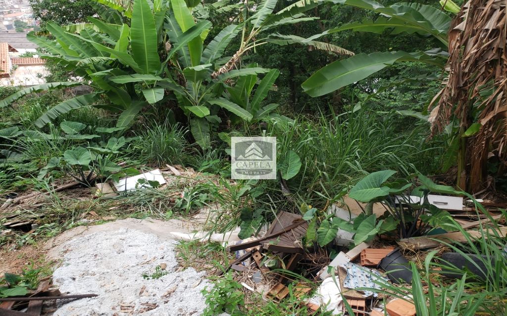 c22f40aa-1bb2-4075-b295-0edf39a33133-CAPELA TERRENO Tucuruvi 31426 TERRENO VENDA Tucuruvi, 318 m² 