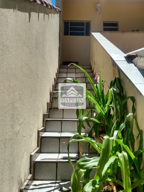 c72784d4-a996-49c8-8379-275a7a671c72-CAPELA SOBRADO Casa Verde 40462 SOBRADO VENDA Casa Verde, 4 dorm., 4 vagas  