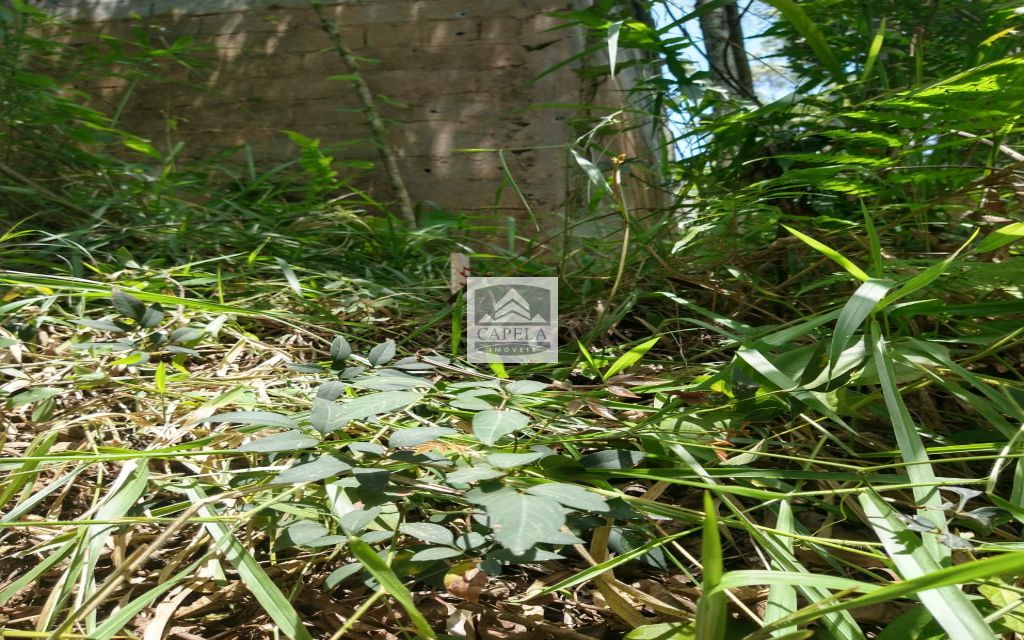 c8c5bacd-e2e7-4f2c-ae01-66d2b943c9c4-CAPELA TERRENO Mairipora 27066 TERRENO VENDA Mairiporã, 500 m²