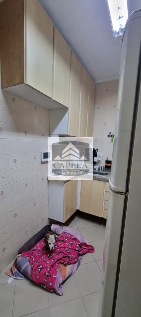 e16e806c-a224-4447-887c-4a02dcfa475f-CAPELA APARTAMENTO Parque Mandaqui 36664 APARTAMENTO VENDA Parque Mandaqui,  55m², 2 dorm. 