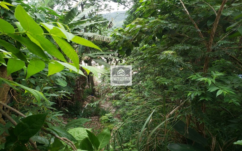 e384123c-ed4d-4664-a6ca-7e766e6d46b0-CAPELA TERRENO Tucuruvi 31415 TERRENO VENDA Tucuruvi, 318 m² 