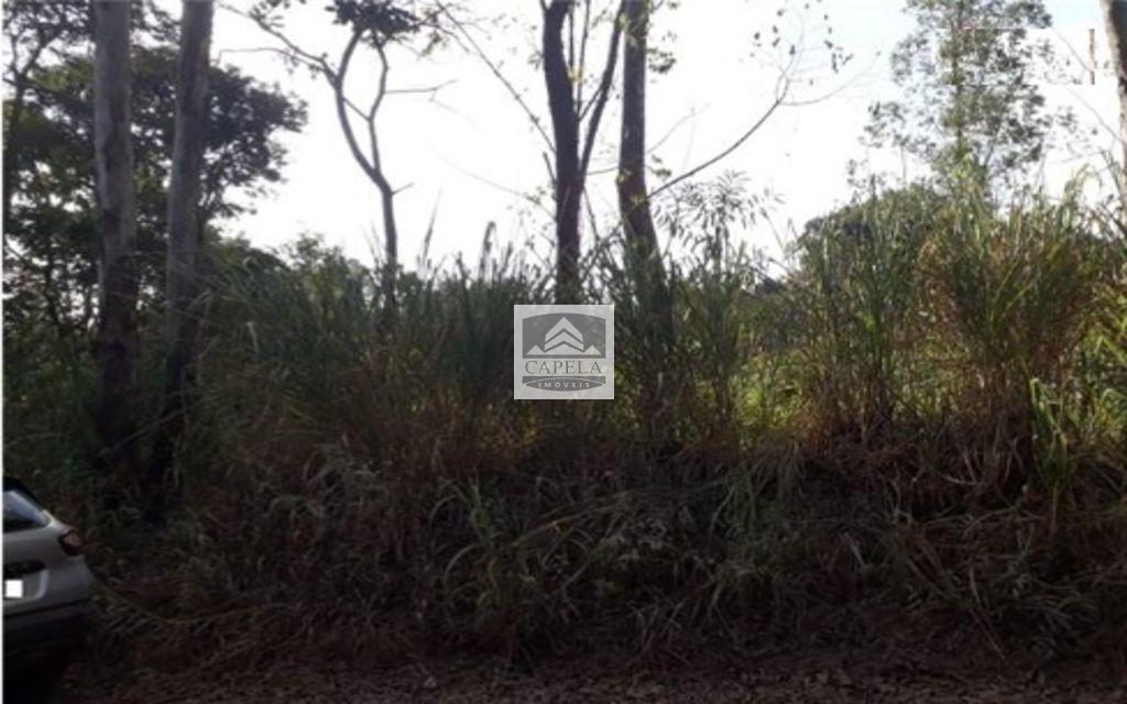 f5a0d1f4-239b-4c6c-87c0-a060495a1127-CAPELA TERRENO Mairipora 27036 TERRENO VENDA Mairiporã, 500 m²