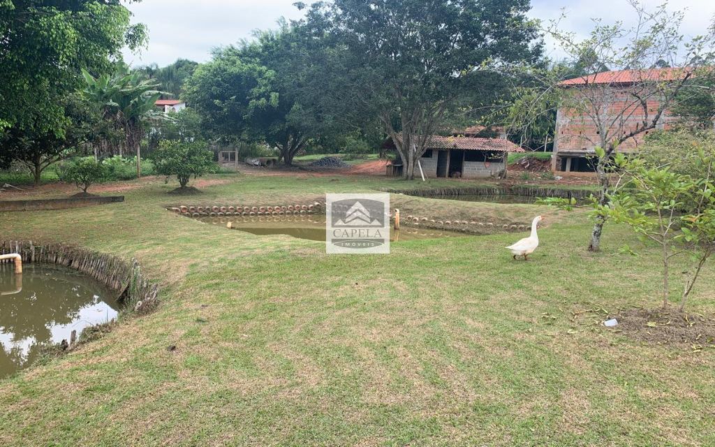 f6a6e406-f948-49d4-9f10-2d7b46f370a6-CAPELA SITIO CHACARA Estrada da Harmonia 6727 Lindo sitio a venda com 20.000, mil metros quadrados com valor abaixo da tabela