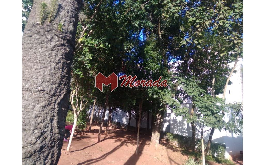 d60168f7-3739-42b4-bac8-59876b17ba17-Morada Imoveis APARTAMENTO CENTRO 108936 APARTAMENTO VENDA CENTRO, EDIFÍCIO ECOONE ARAUCÁRIA 42m² ref 19280