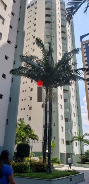 664e361c-9b0f-42d8-9592-50639d964c65-IMOBILIARIA DIAMANTINO APARTAMENTO MOOCA 13337 APARTAMENTO - MOOCA