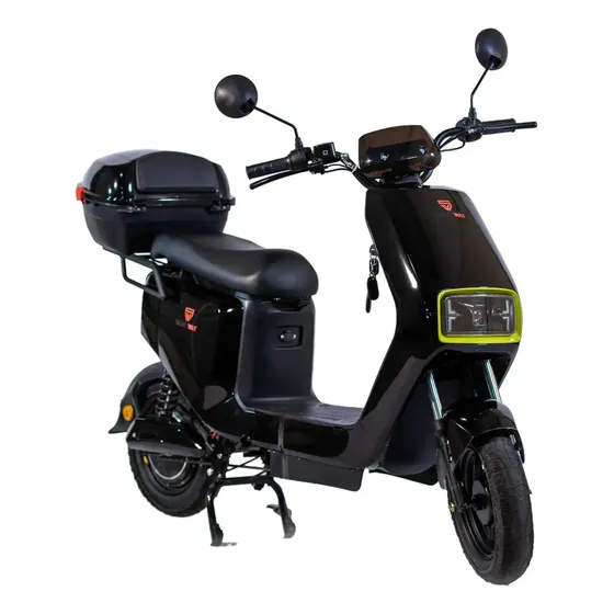 Bicicleta Elétrica Wasp 800w S/ Pedal Sem Cnh Moto Scooter Preto Com Baú