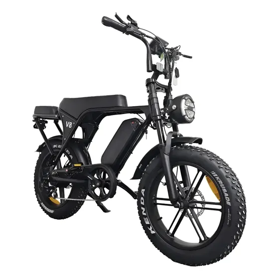 Bicicleta Eletrica Bike 750w 15ah Aro 20 Adulto Com Garupa Bicicleta Eletrica Bike 750w 15ah Aro 20 Adulto Com Garupa