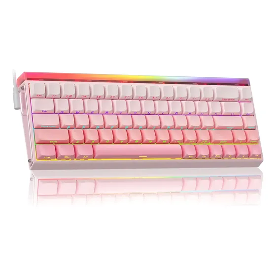 Teclado Magnetico Aula Hero 68 He Com Fio 65% Gamer E-sport