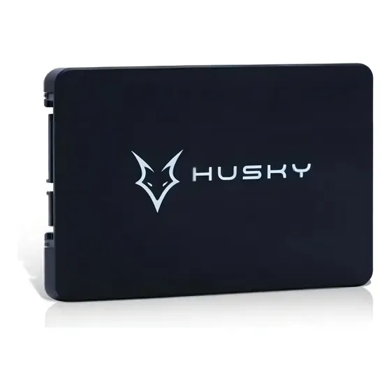 Ssd Dsata Iii Husky 128gb 2.5 Leitura 500mb/s Gravação 450 Mb/s Cor Preto