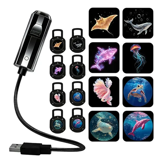 2-in-1 Night Light Projector